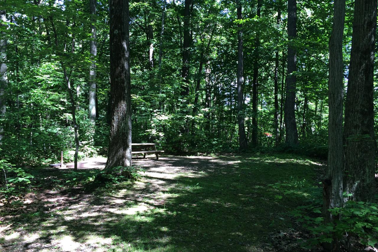 Le Méandre 4 - Semi-serviced campsite - Parc national d'Oka - Sépaq